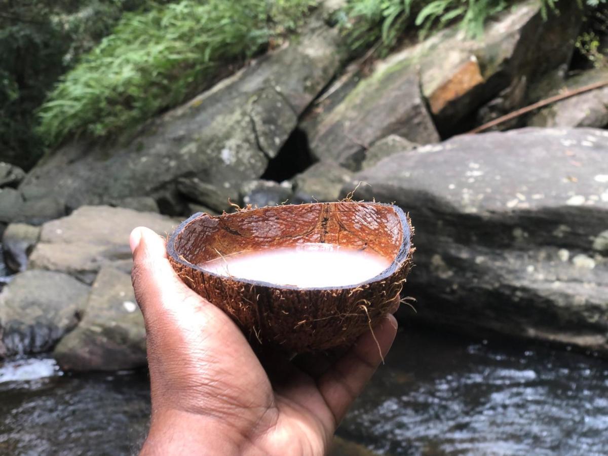 Palabaddala Tea And Eco Lodge Ratnapura Eksteriør billede