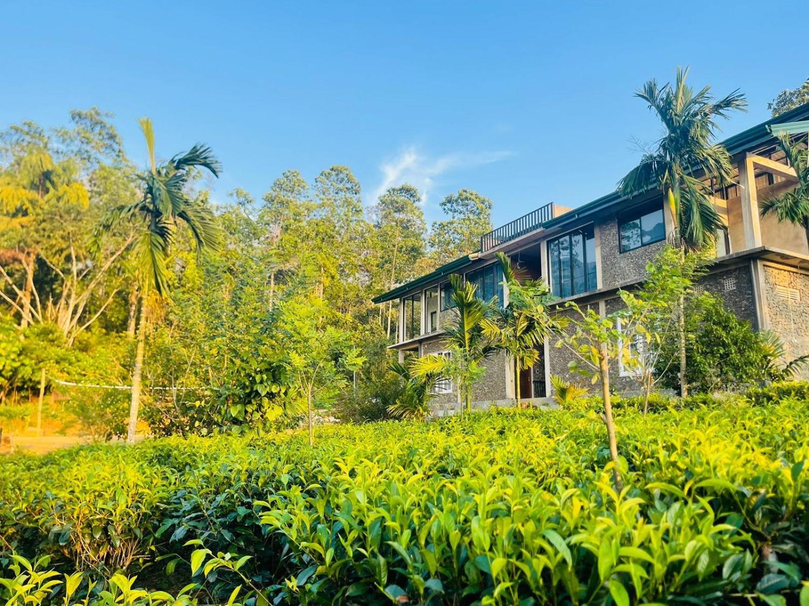 Palabaddala Tea And Eco Lodge Ratnapura Eksteriør billede