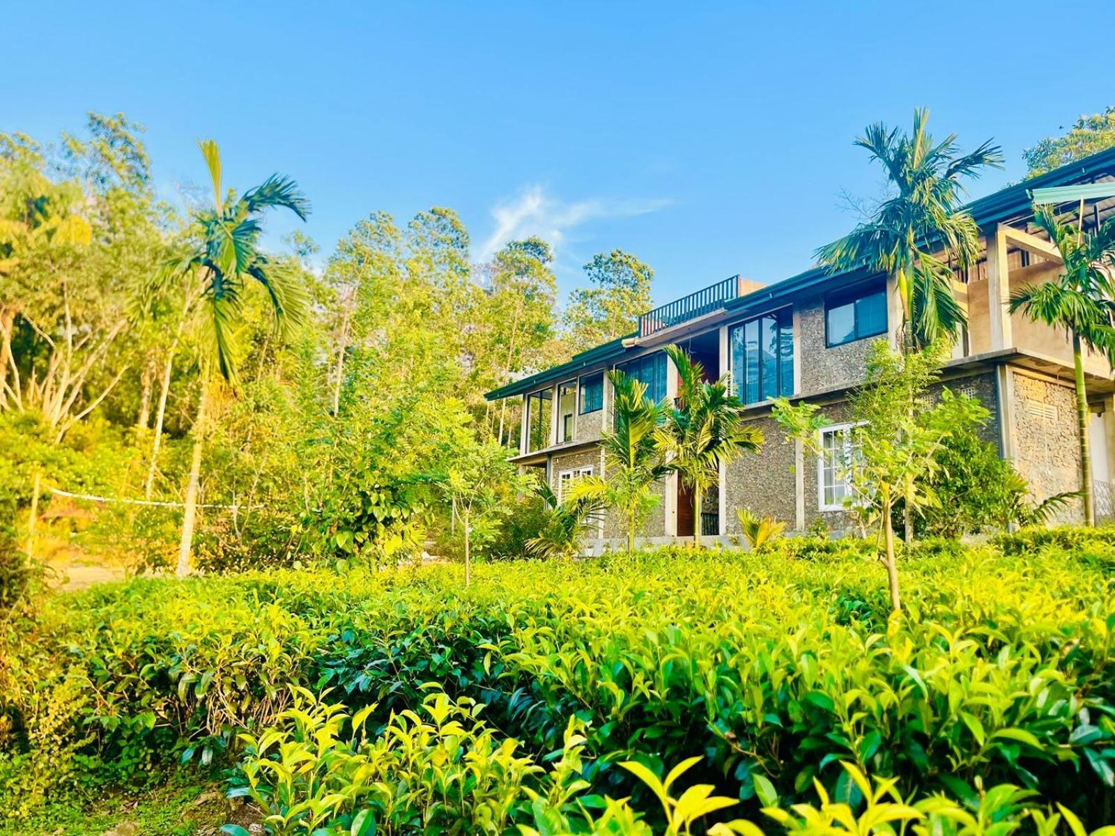Palabaddala Tea And Eco Lodge Ratnapura Eksteriør billede
