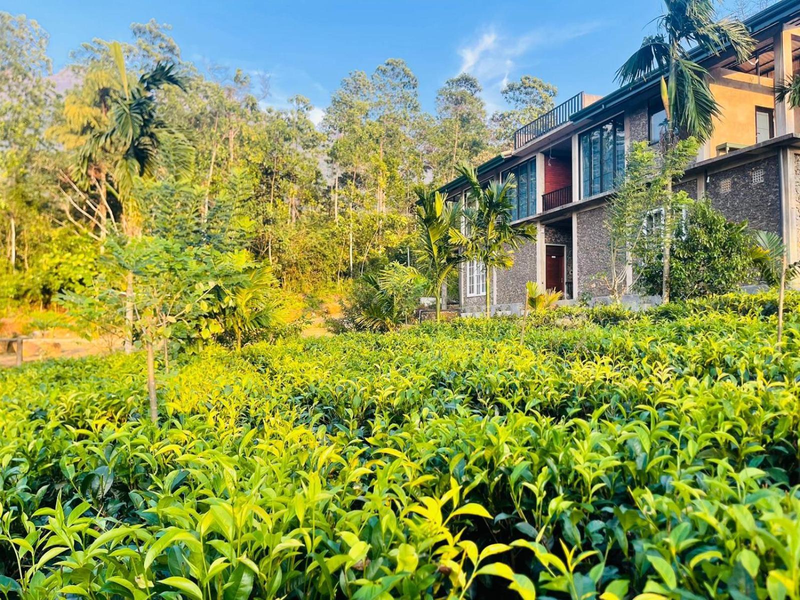 Palabaddala Tea And Eco Lodge Ratnapura Eksteriør billede