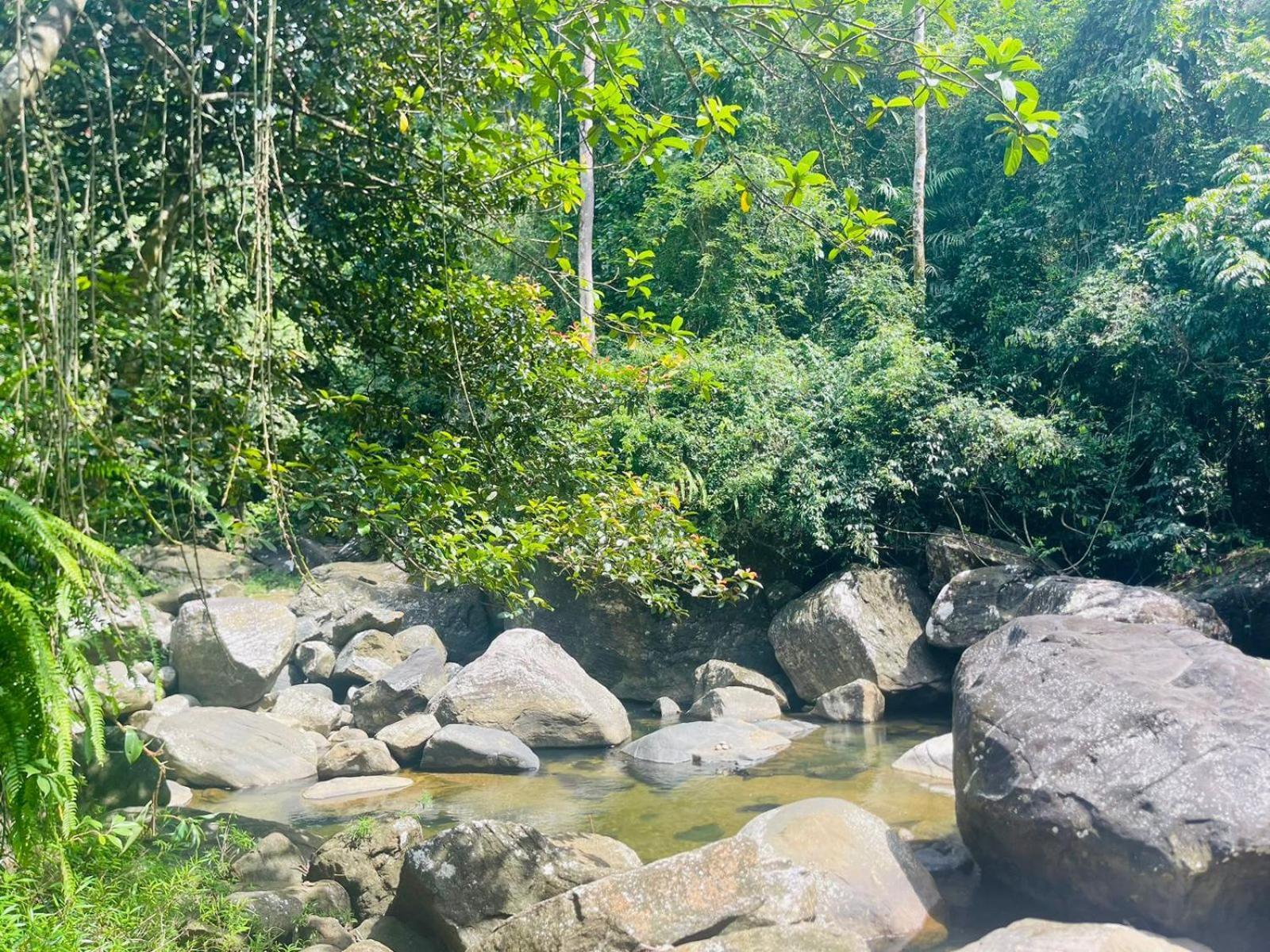 Palabaddala Tea And Eco Lodge Ratnapura Eksteriør billede