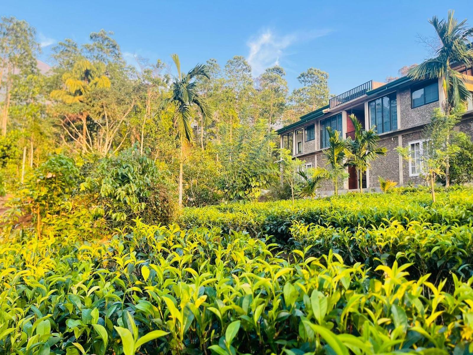 Palabaddala Tea And Eco Lodge Ratnapura Eksteriør billede