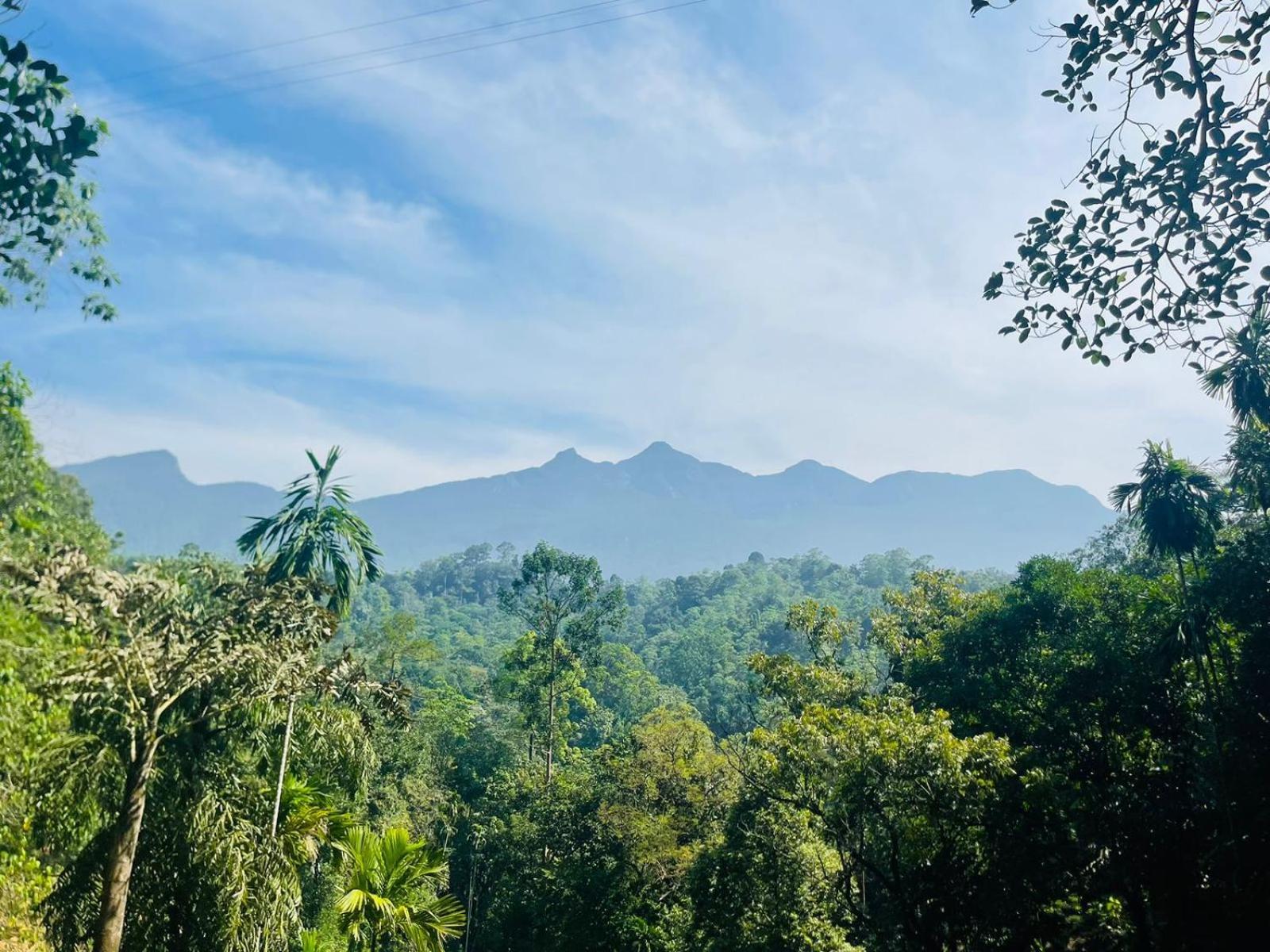 Palabaddala Tea And Eco Lodge Ratnapura Eksteriør billede